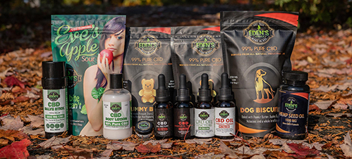 Types of CBD products displayed in leaves