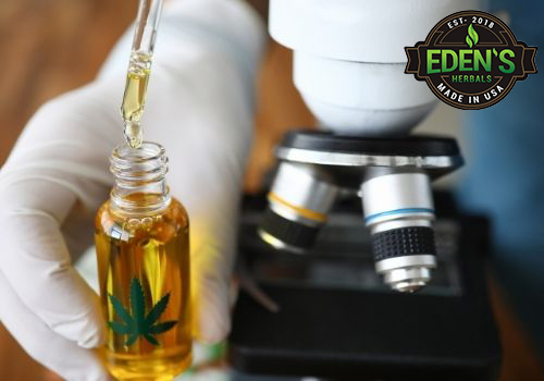 CBD Oil in hands of researcher and magnifying glass on table 