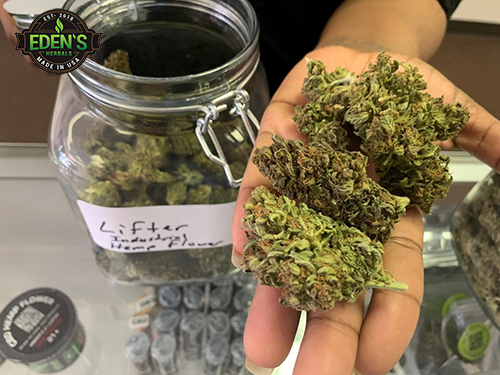 Comparison of hemp flower and cannabis flower