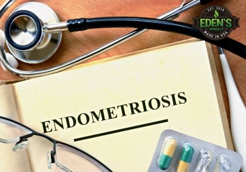 Endometriosis definition in book