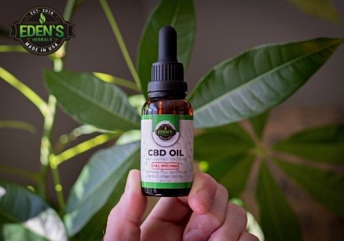 cbd oil tincture in front of plant