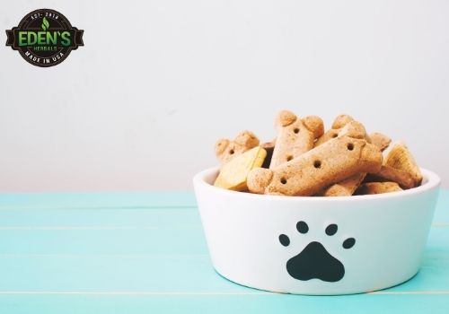 dog treats in a bowl with a dog paw painted on it