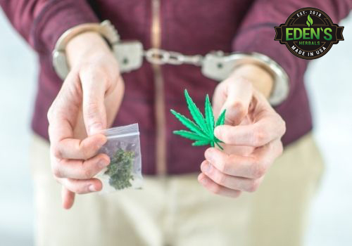 Man holding cannabis is handcuffed as a result of the war on drugs