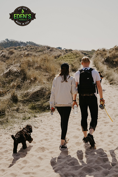 Man and woman on healthy walk with their dog