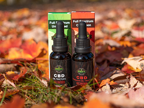 Full spectrum CBD oil tinctures from Eden's Herbals among fall foliage leaves