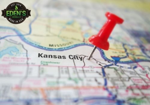 kansas pinned on a map