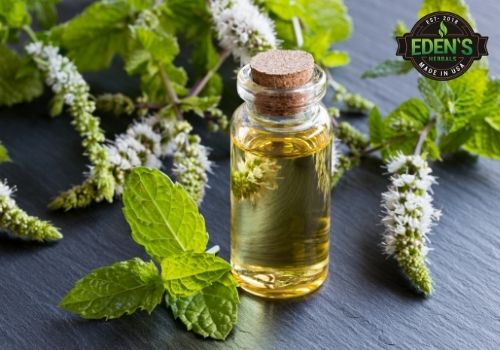 Peppermint essential oil for improved focus