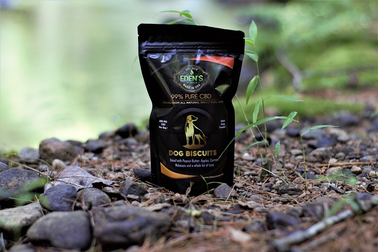 CBD Dog Treats