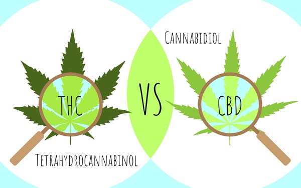 CBD-vs-THC