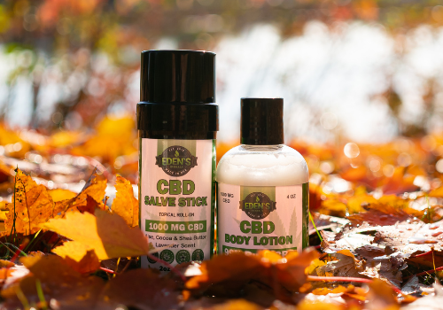 CBD lotion and hand salve sitting on leaf strewn path