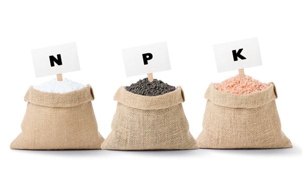 Three bags representing the three main components of plant food; NPK