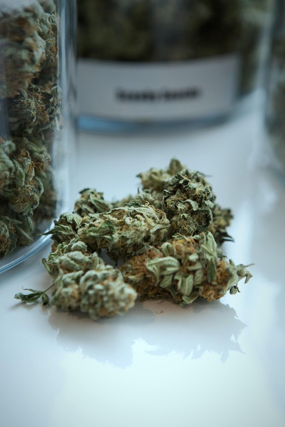High quality cannabis seeds