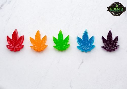 marijuana leaf shaped gummies lined up on a table