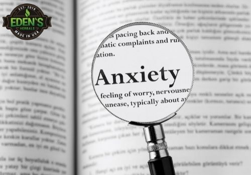 word "anxiety" in a book with a magnifying glass showing definition