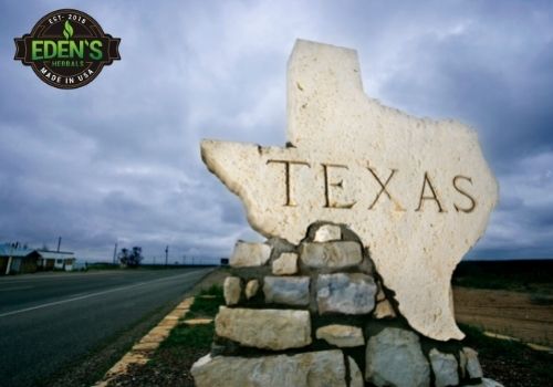 texas sign infront of desert back ground