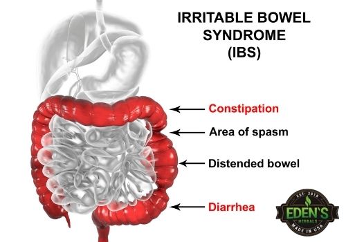 IBS symptoms on a diagram
