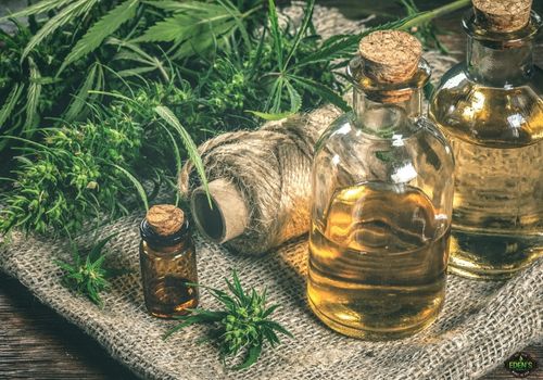 cbd oils and infusions