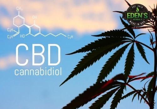 Hemp plant with chemical symbol for CBD