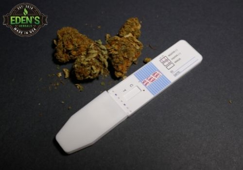 Paperwork showing that CBD does not show up on a drug test
