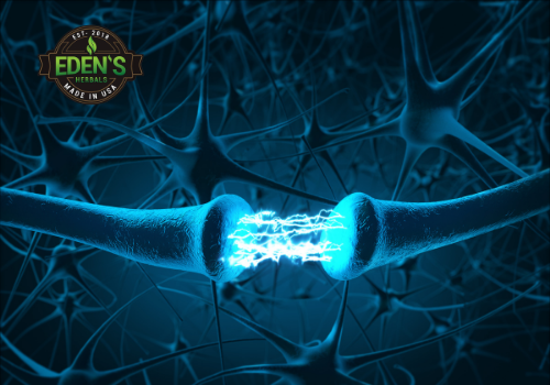 Neurons in endocannabinoid system responding to CBD effects