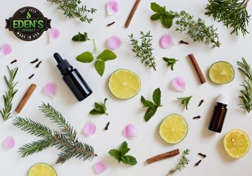 herbs and essential oils spread out on top of table