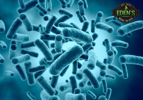 photo of bacteria which CBD can fight againts