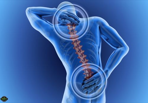 skeleton image holding back to show where back pain radiates