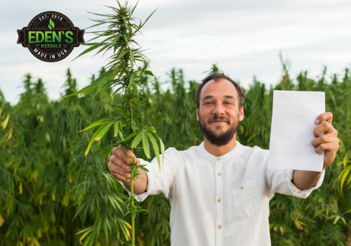 Man using hemp to make paper in ancient times