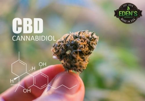 Hemp plant with CBD molecular make up