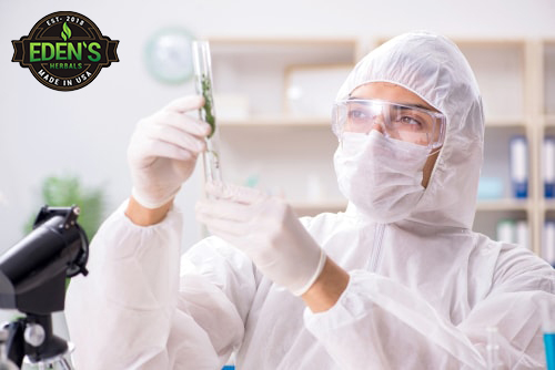 Cancer researcher in laboratory holding up vial of CBD 