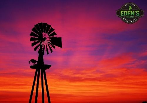 wind mill in texas sunset