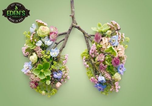 lungs made up of twigs and leaves and flowers