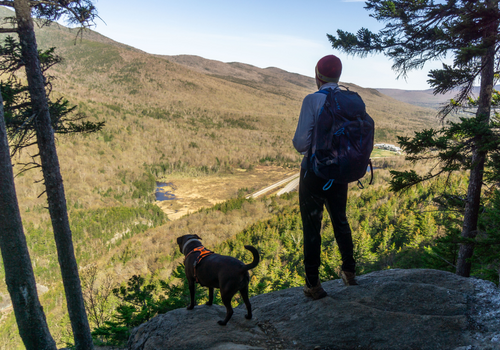 Dog and owner standing on a scenic outlook in the white mountains