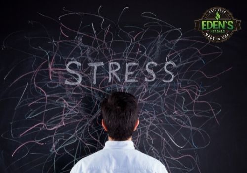 man standing in front of wall with word stress above his head