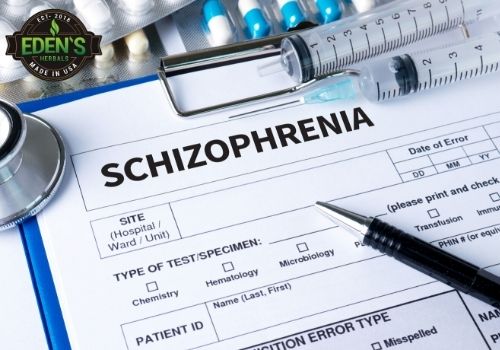 Doctor paperwork with Schizophrenia and medication