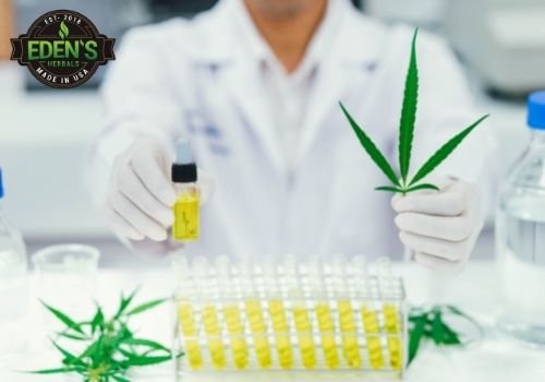 Lab specialist analyzing CBD to ensure its safety