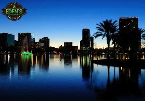 Orlando at night on the water