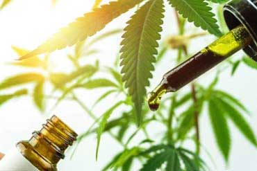 CBD oil