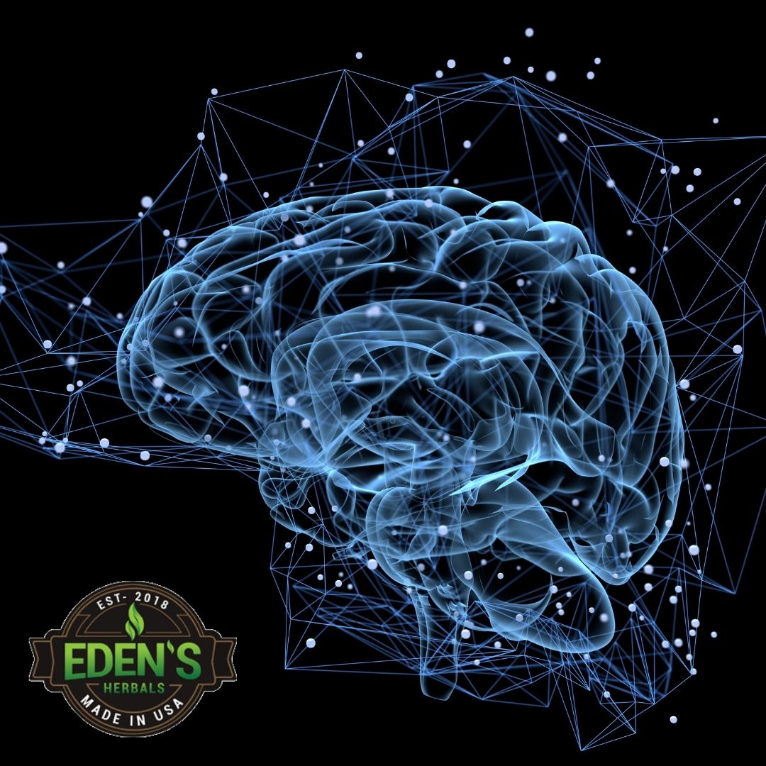 brain-receptors-cbd-inflammation