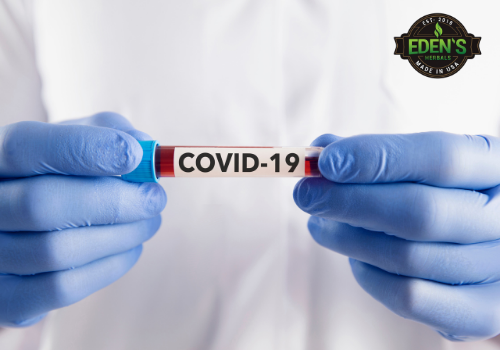 Researcher holding sample of covid-19