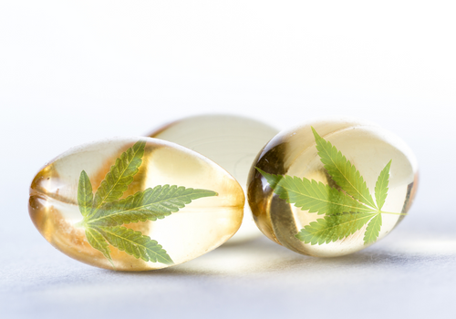 Closeup of capsules with hemp leaves inside them