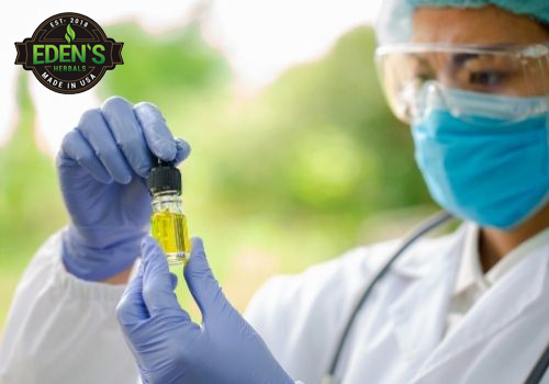 Scientist studying CBD for research