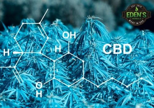 CBD molecular compound with word CBD