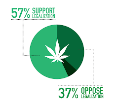 Marijuana Support