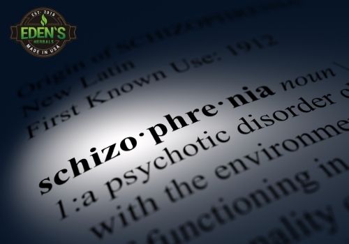 Schizophrenia word in a book showing definition 