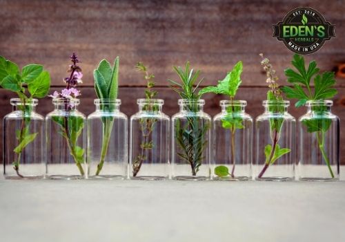 herbs in little jars across a counter 