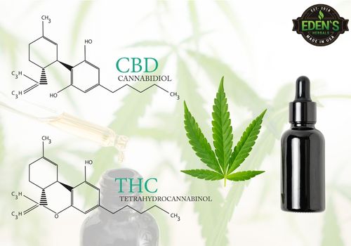 difference between CBD and THC