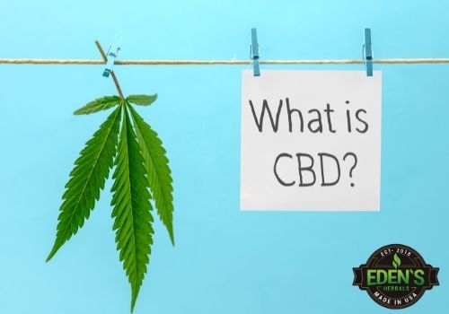 hanging sign asking what is cbd?