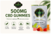 Picture of CBD GUMMIES | 500 MG