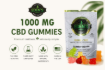Picture of CBD GUMMIES | 1000 MG